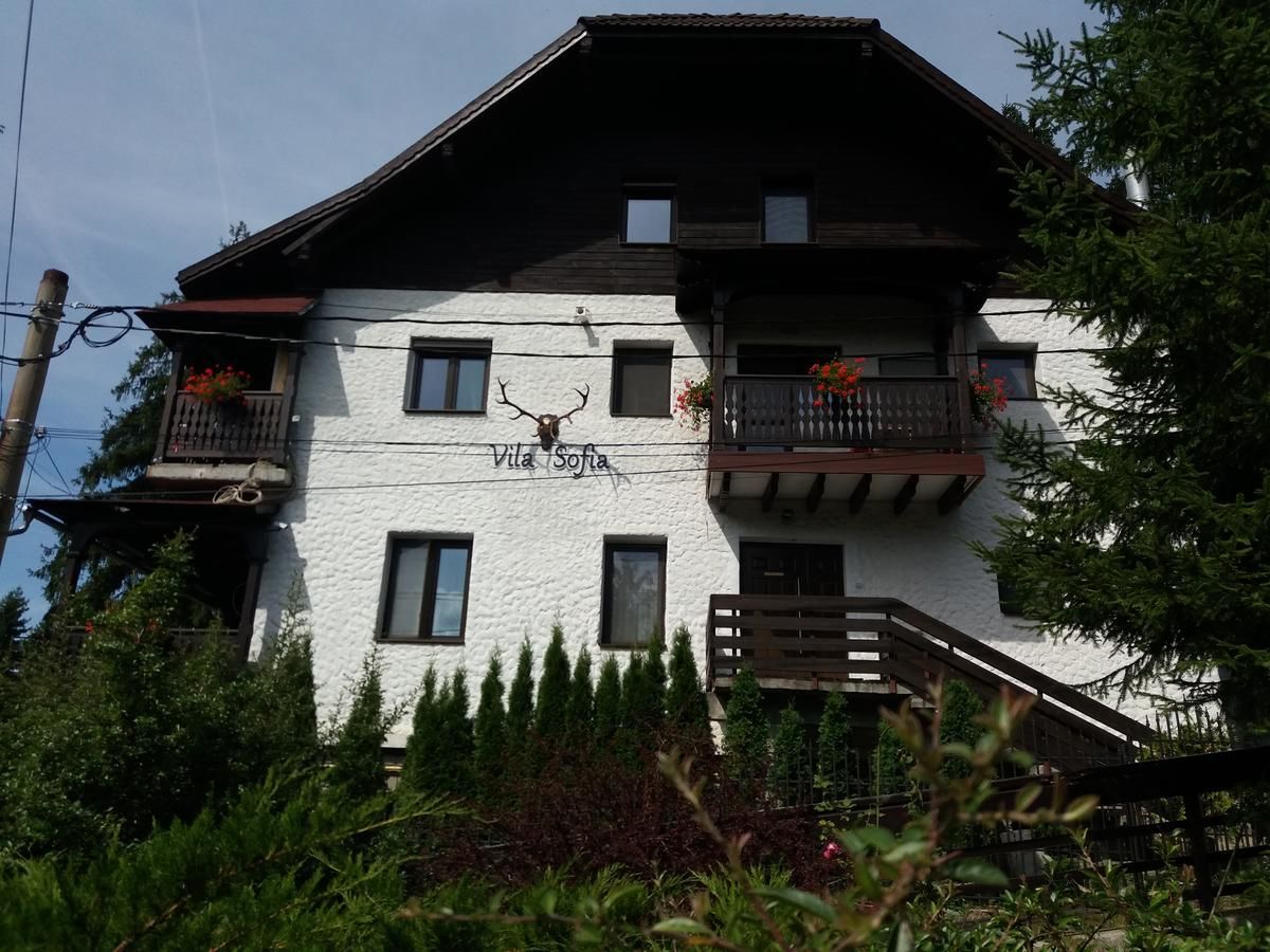 Гостевой дом Vila Sofia Предял-4